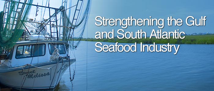 Gulf and South Atlantic Fisheries Foundation